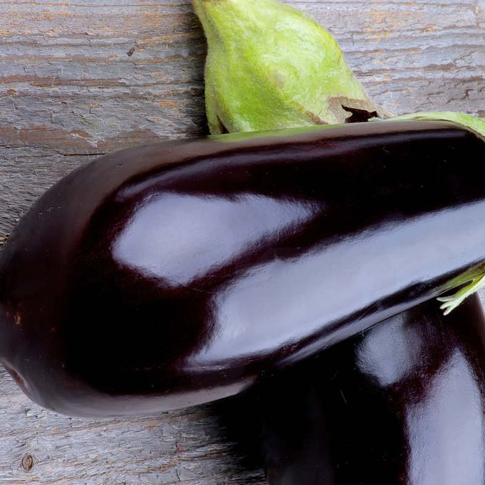 Two aubergines on a wooden background