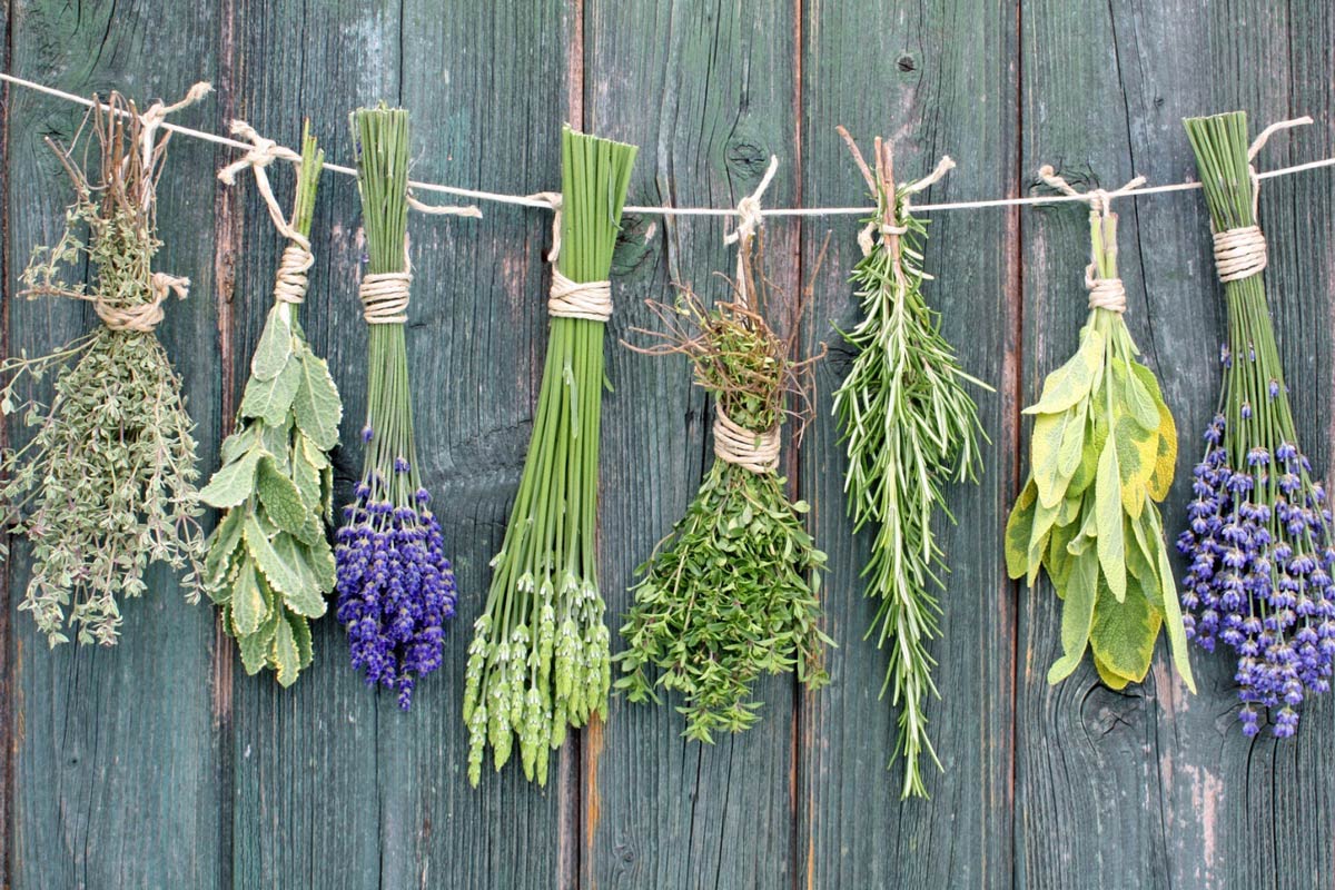 Why you should add herbs to your diet